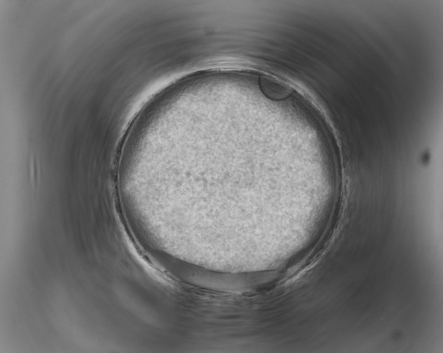 X0000116141429200912141122