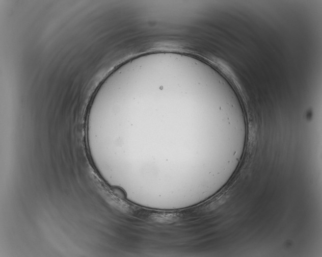 X0000116141435200912141122