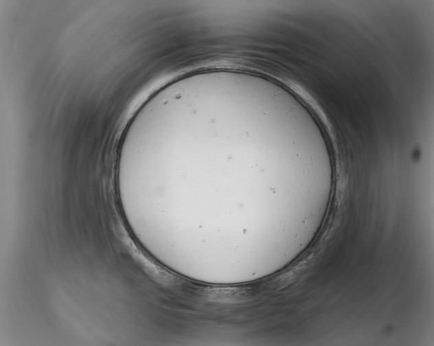 X0000116141437200912141122