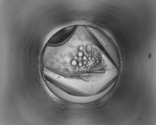 X0000116141438200912141122