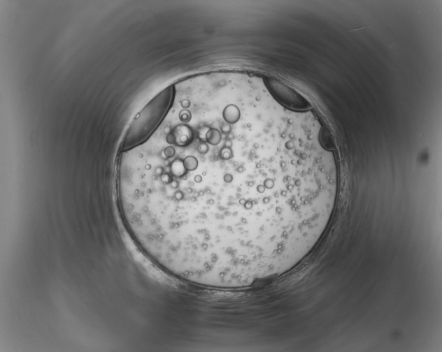 X0000116141439200912141122