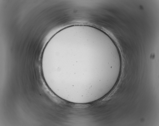 X0000116141440200912141122