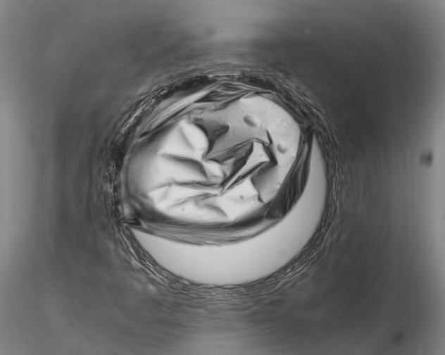 X0000116141445200912141122