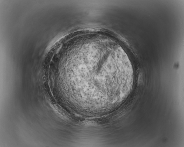 X0000116141448200912141121