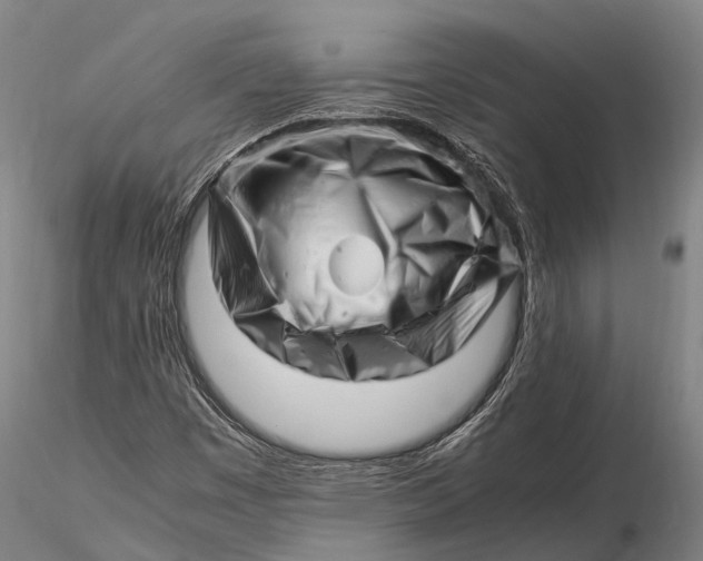 X0000116141449200912141121