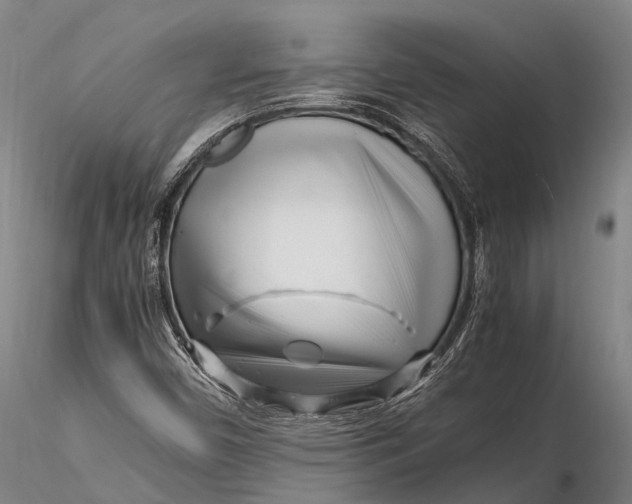 X0000116141450200912141121