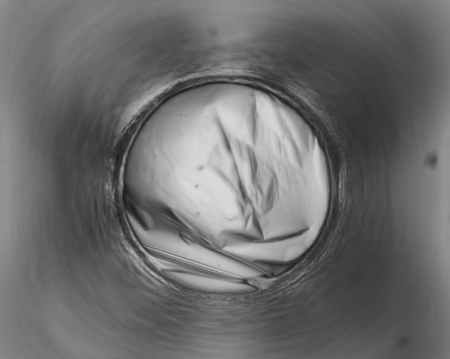 X0000116141452200912141121