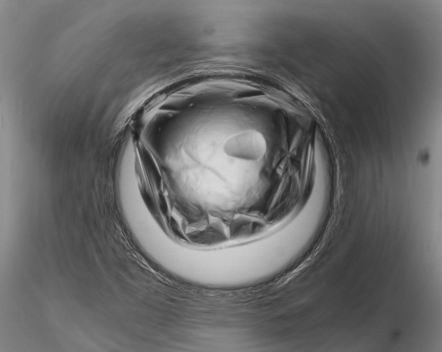 X0000116141453200912141121