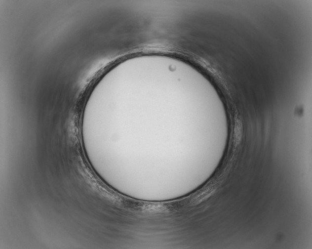 X0000116141454200912141121