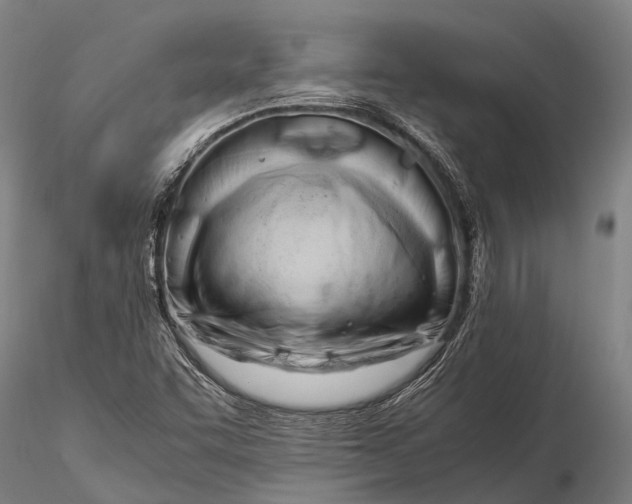 X0000116141455200912141121