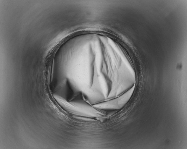 X0000116141456200912141121