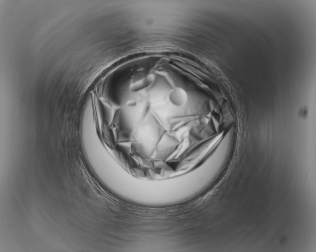 X0000116141457200912141121