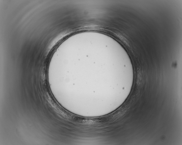 X0000116141458200912141121