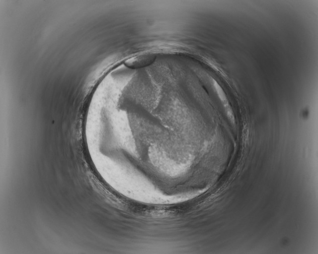 X0000116141459200912141121