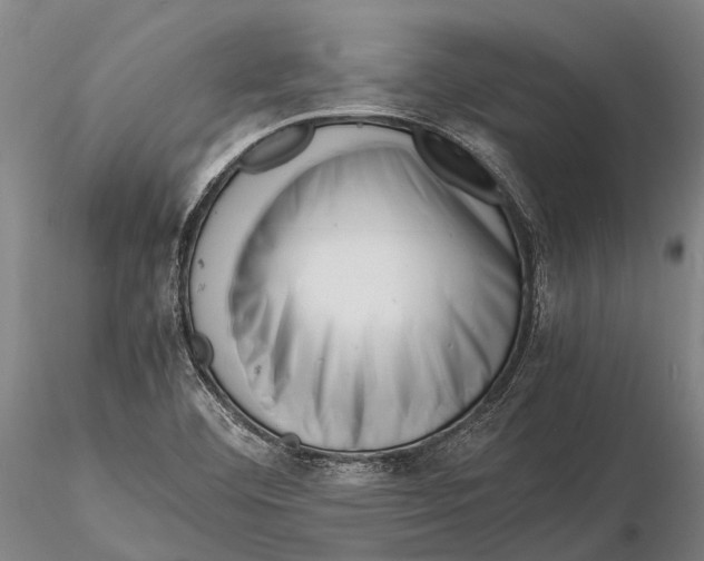 X0000116141460200912141121