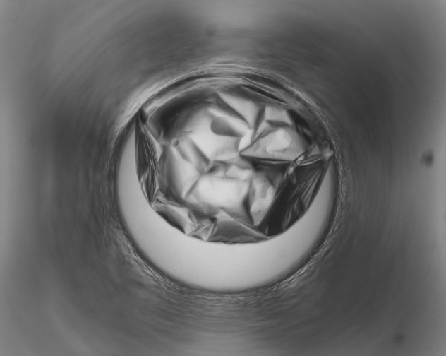 X0000116141461200912141121