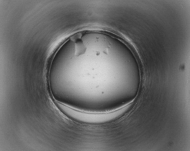 X0000116141464200912141121