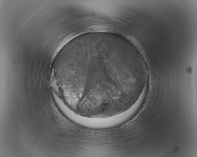 X0000116141465200912141121