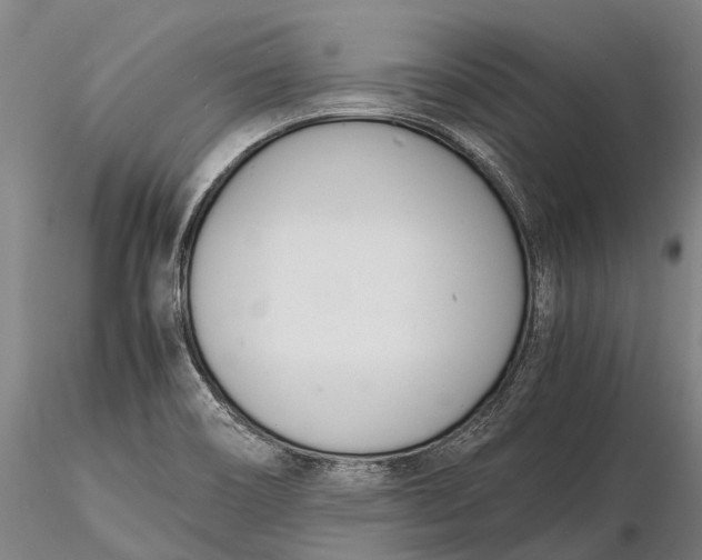 X0000116141466200912141121