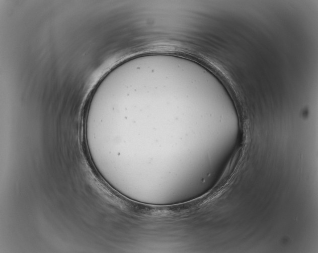 X0000116141467200912141121