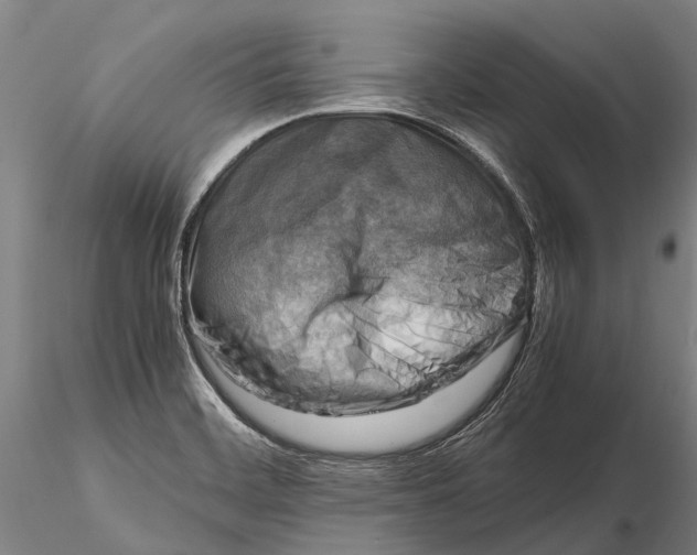 X0000116141468200912141121