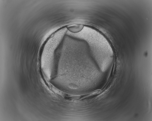 X0000116141469200912141121