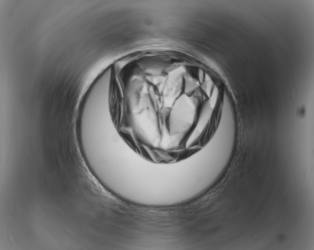 X0000116141472200912141121