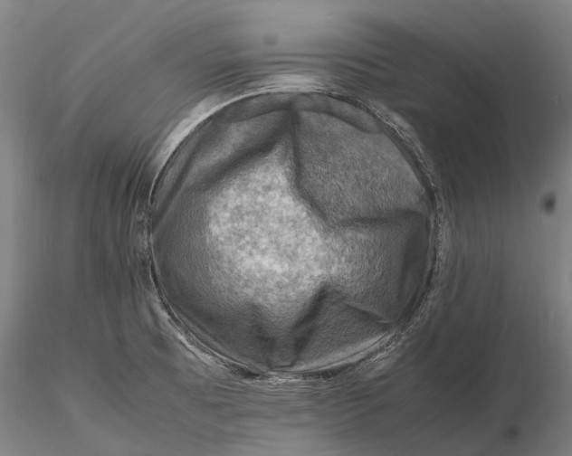 X0000116141473200912141121