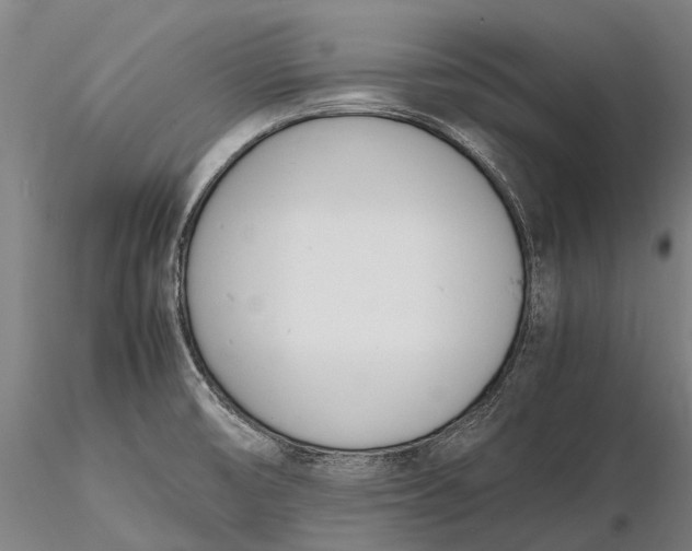 X0000116141474200912141121