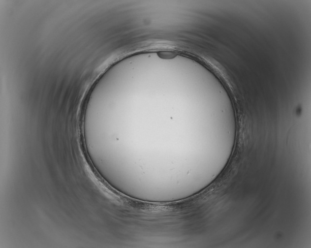 X0000116141475200912141121