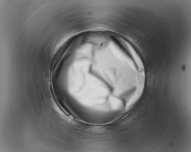 X0000116141476200912141121