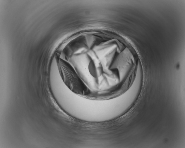 X0000116141477200912141121