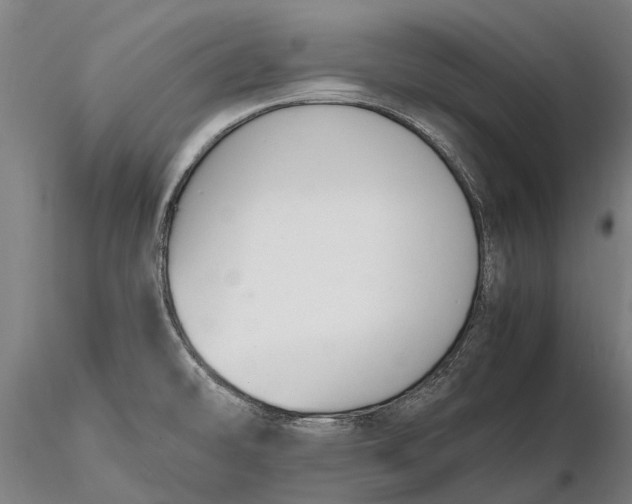 X0000116141478200912141121