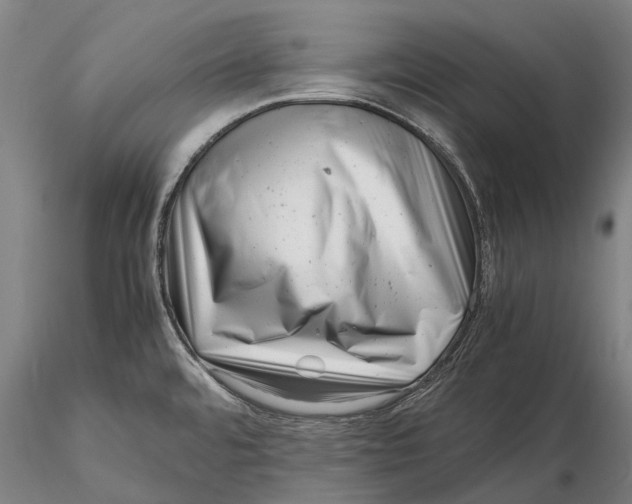 X0000116141480200912141121