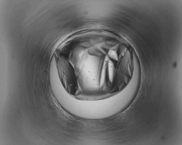 X0000116141481200912141121