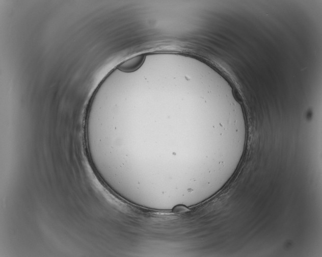 X0000116141483200912141121