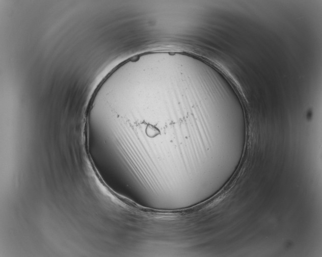 X0000116141484200912141121