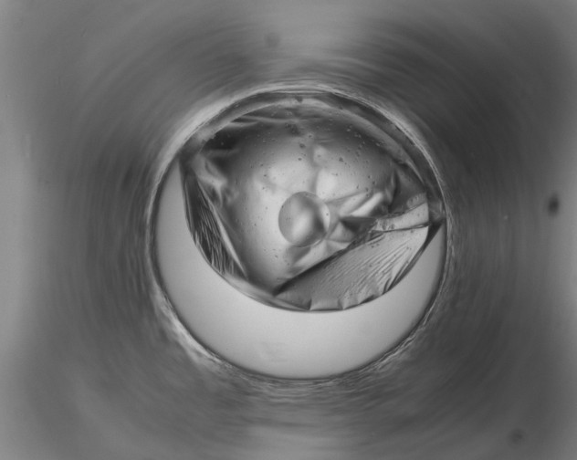 X0000116141485200912141121