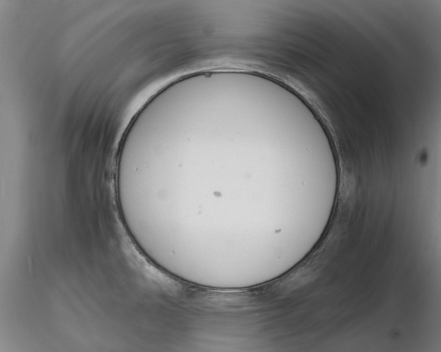 X0000116141486200912141121