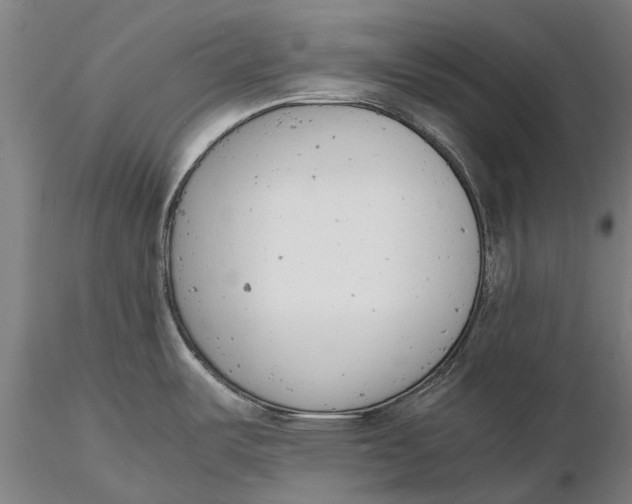 X0000116141487200912141121