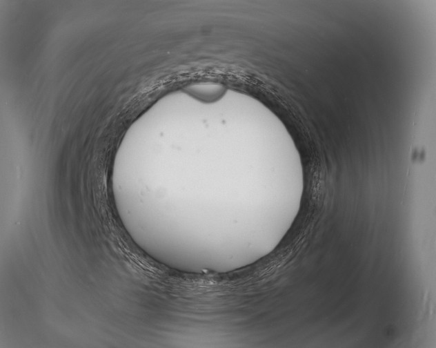 X0000116141489200912141120