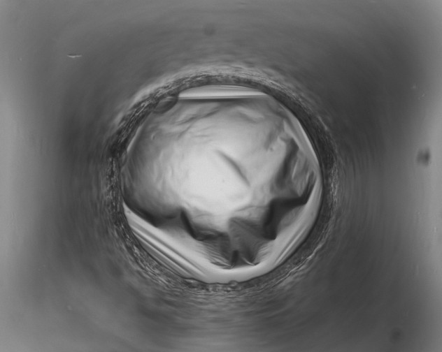 X0000116141494200912141120