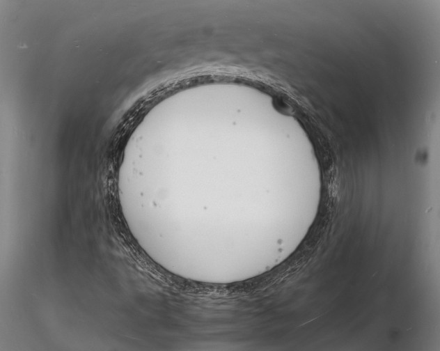 X0000116141495200912141120