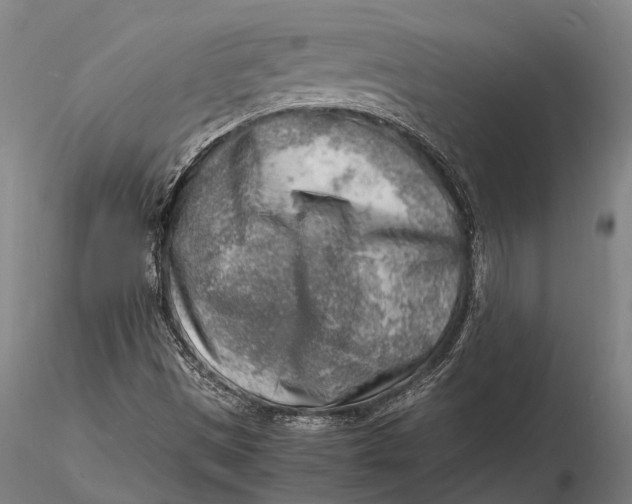 X0000116141497200912141120