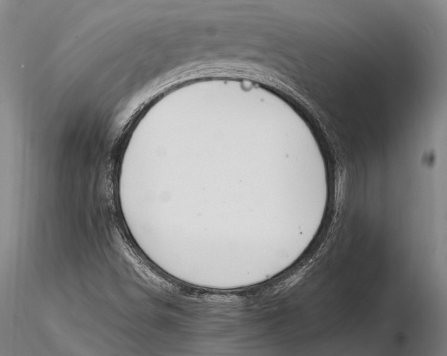 X0000116141498200912141120