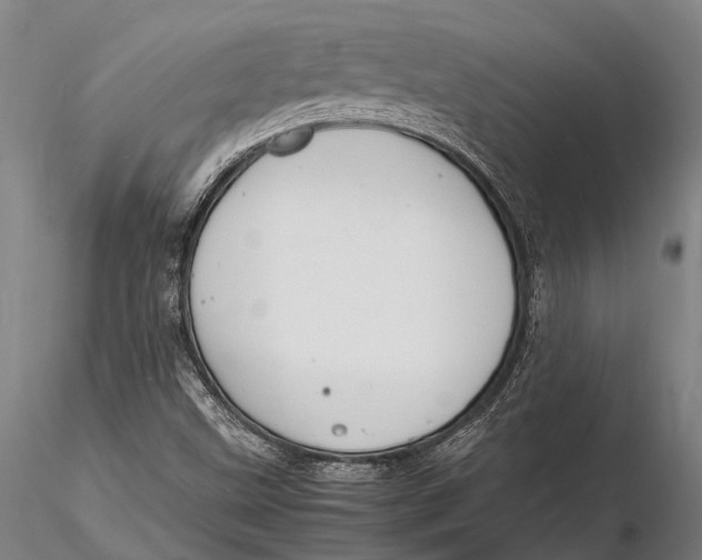 X0000116141499200912141120