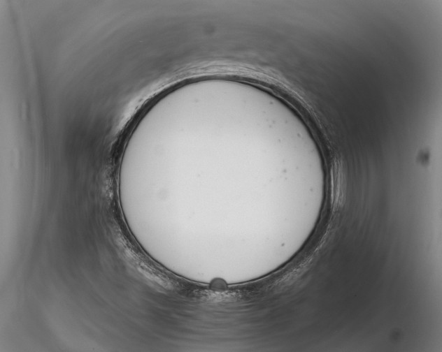 X0000116141501200912141120