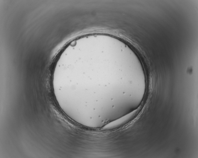 X0000116141502200912141120