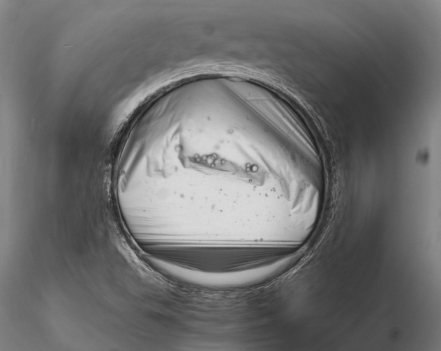 X0000116141503200912141120