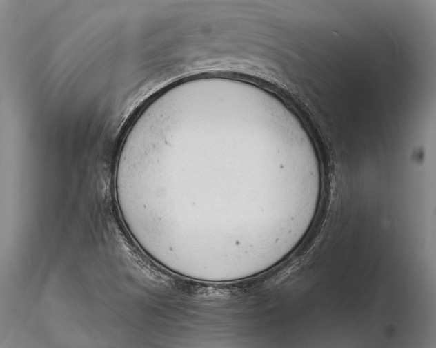 X0000116141505200912141120